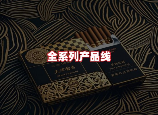 专业团队